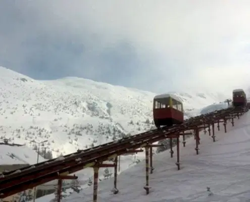 11051166_10204001769464555_667605637_nA