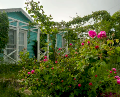 59848638_285743279044139_5122841702800818176_n